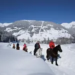 In Zillertal Near Slopes Apartment Fuegen